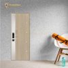 Cửa Căn Hộ Laminate GLX-STEEL 954 I G4712-C2