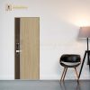 Cửa Căn Hộ Laminate GLX-STEEL 955 I GD303-Q5 DECOR GD603-85